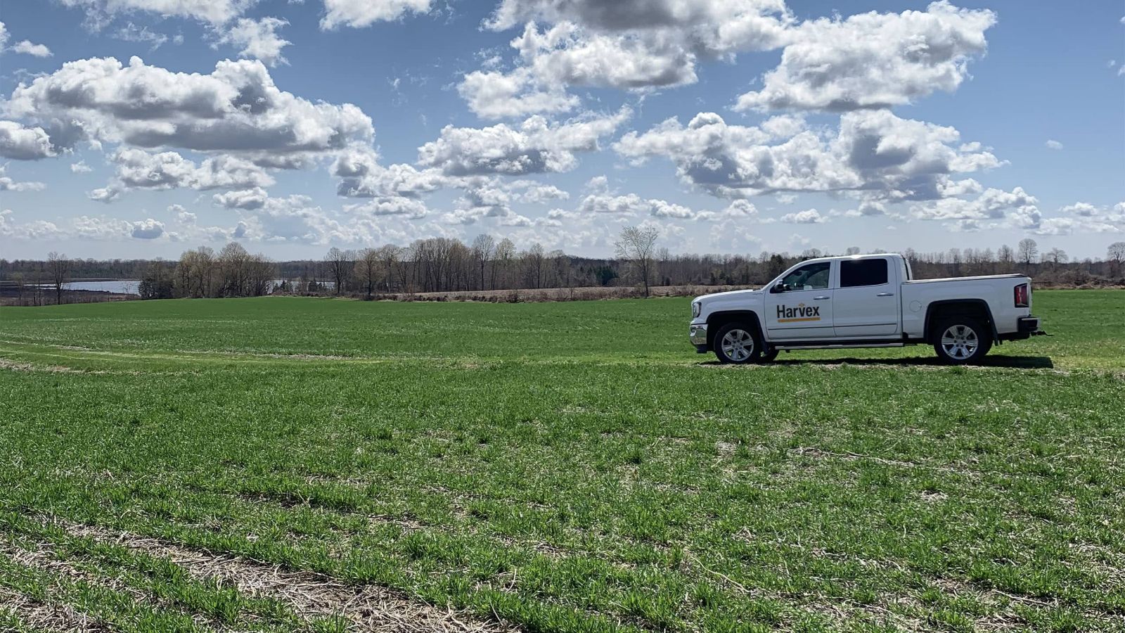 Harvex Truck on crop field with blue sky
