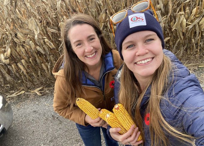 Harvex employees with corn at work